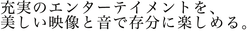 蜈?ｮ溘?繧ｨ繝ｳ繧ｿ繝ｼ繝?う繝｡繝ｳ繝医ｒ縲∫ｾ弱＠縺?丐蜒上→髻ｳ縺ｧ蟄伜?縺ｫ讌ｽ縺励ａ繧? /></p>
                    <p class=