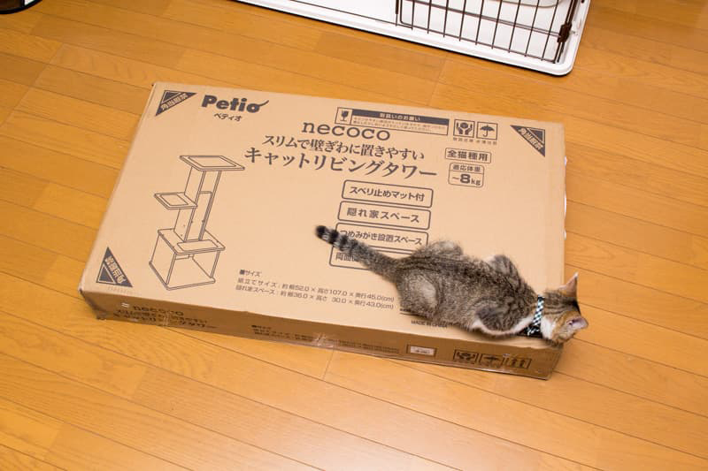 人気No.1】 ペティオ (Petio) necoco スリムで壁ぎわに置きやすい キャットリビングタワー ダークブラウン 猫用 M サイズ 