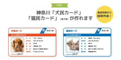 神奈川県 猫民カード 発行開始 犬民カード に続き Impress Watch
