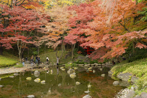 都立庭園が完全禁煙 浜離宮 旧芝離宮 六義園など Impress Watch