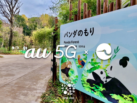 上野動物園の混雑状況を可視化 Au 5gとaiカメラ活用 Impress Watch