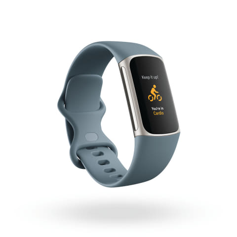 Suica対応 Fitbit Charge トラッカー ルナホワイト ソフトゴールド