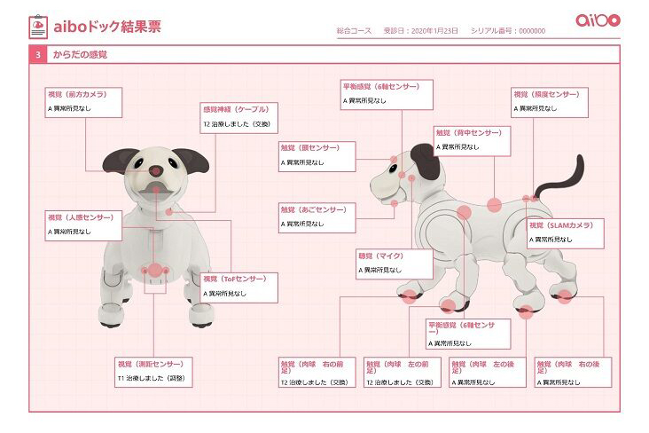 ソニー / aibo / アイボ ERS-1000/W ドック健康診断結果付