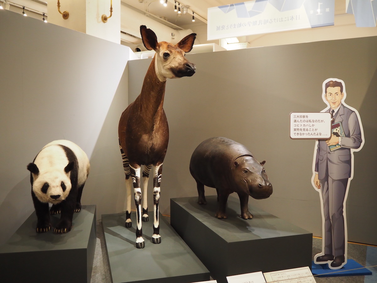 標本バカ」が歴代「標本バカ」を紹介 国立科学博物館「日本の哺乳類学